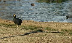 090809_San_Ceferino 066